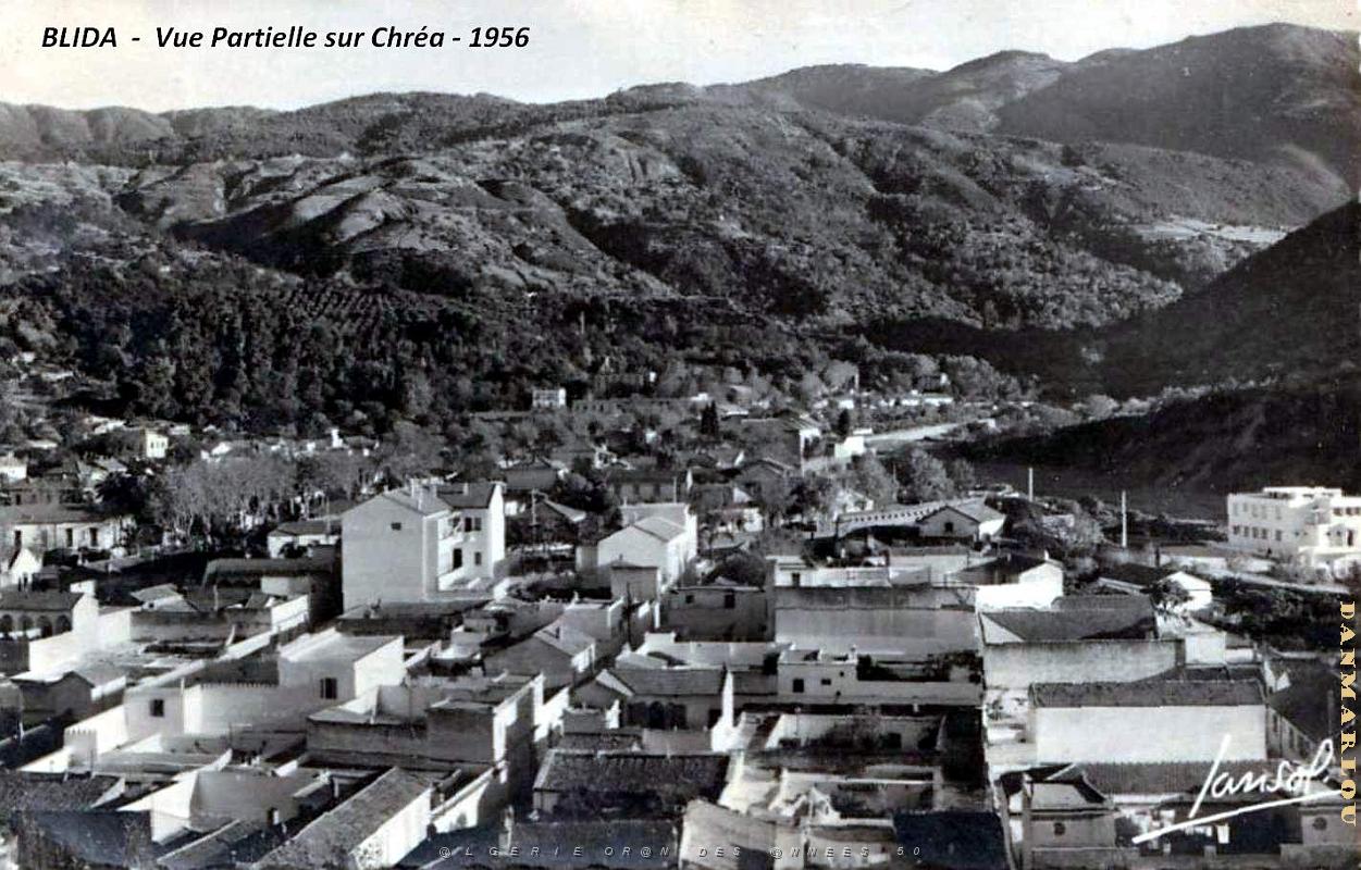 Blida - Vue partielle sur Chrea - 1956.jpg
